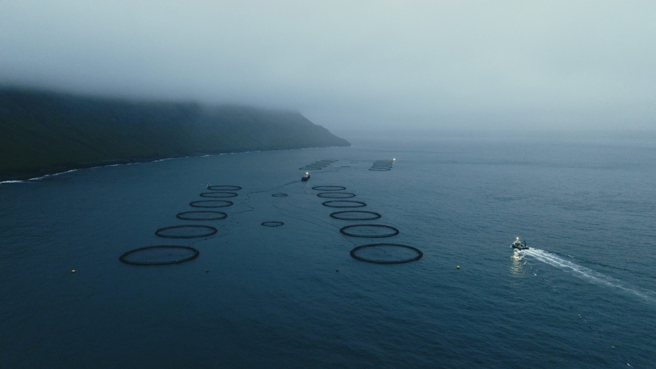 Stuðul Stuðul