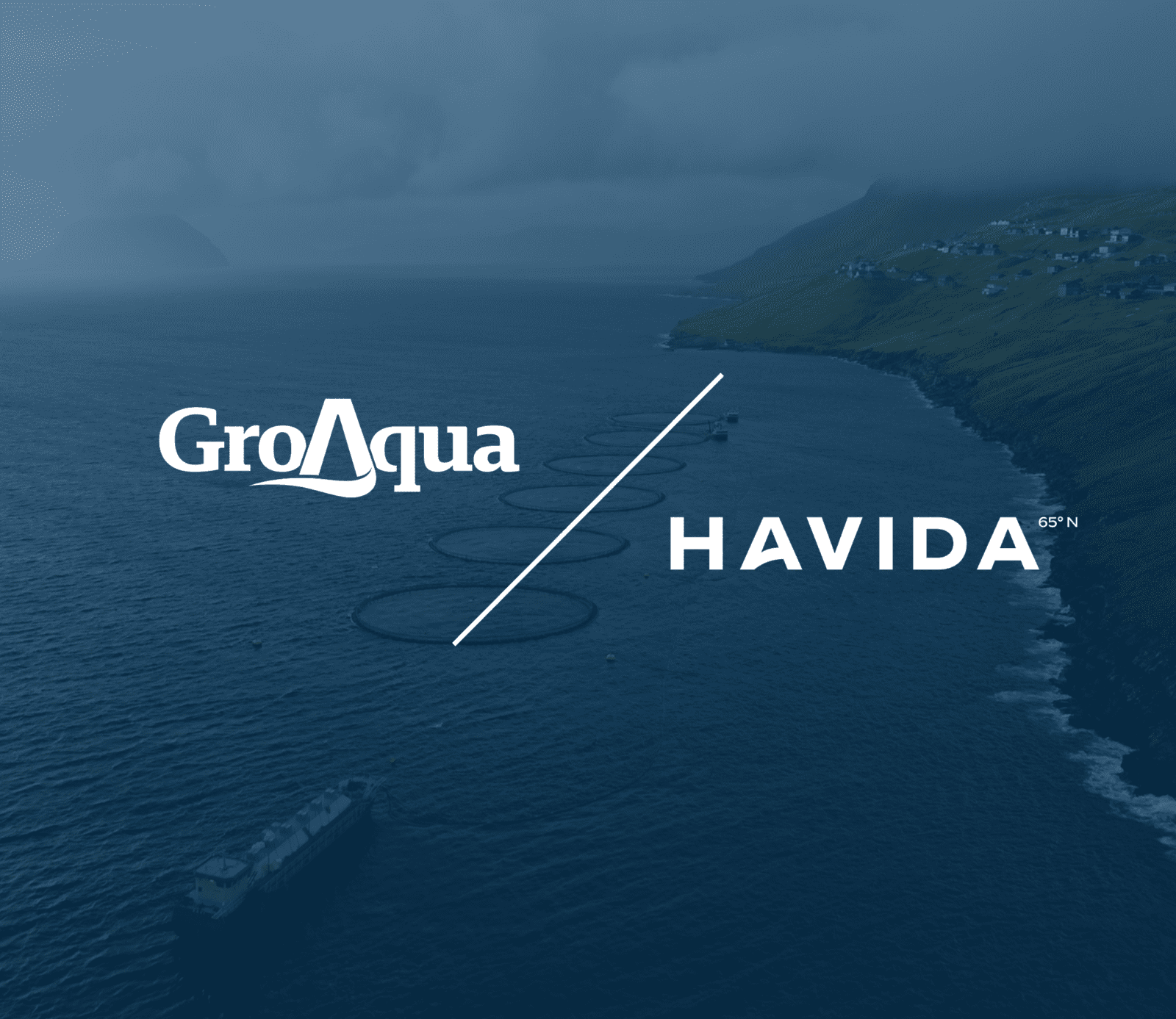 Havida And Groaqua Join Forces To Strengthen International Position  