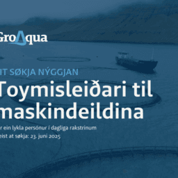 Toymisleiðari Til Maskindeildina