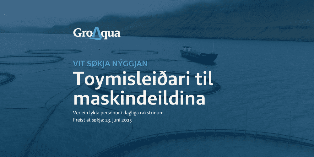 Toymisleiðari Til Maskindeildina
