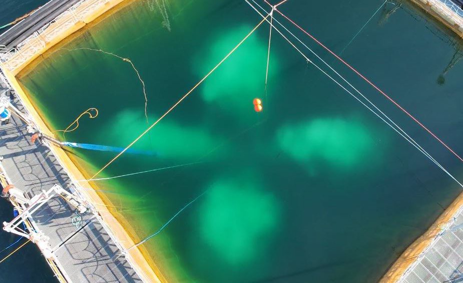 Freya Nanobubble Generator Freya Nanobubble Generator